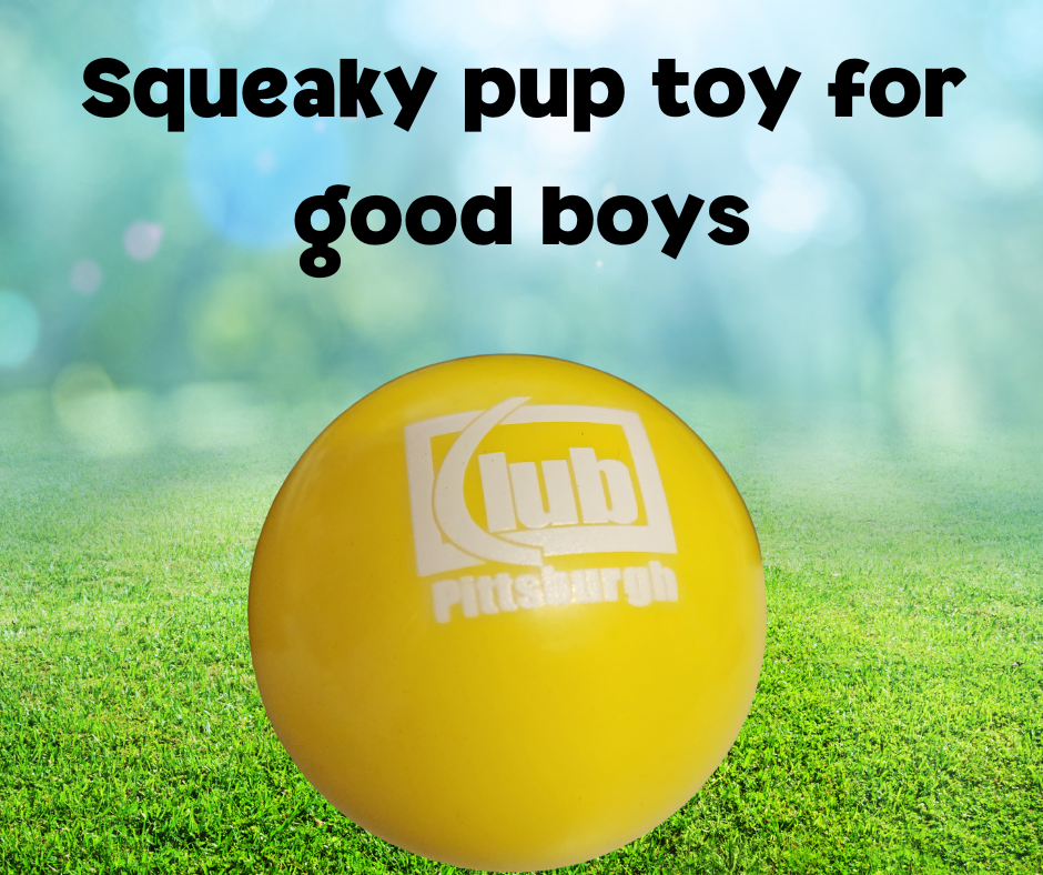 Squeaky Pup Toy